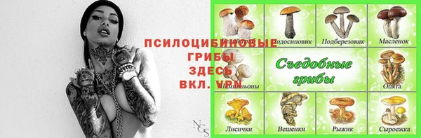ALPHA-PVP Алексин