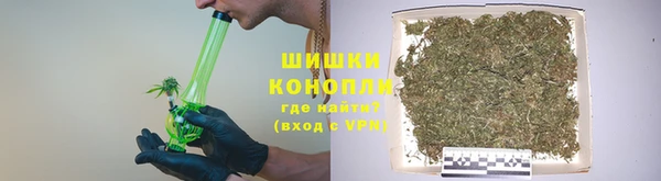 стаф Новокубанск